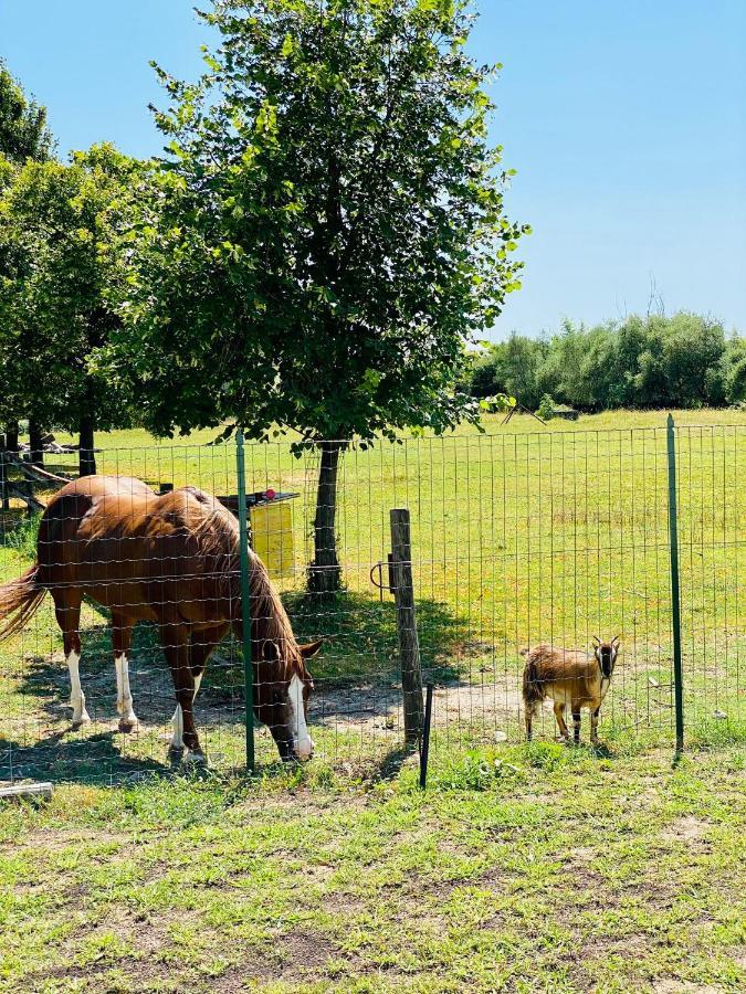 I Broletti Del Garda Otel Pacengo Di Lazise Dış mekan fotoğraf