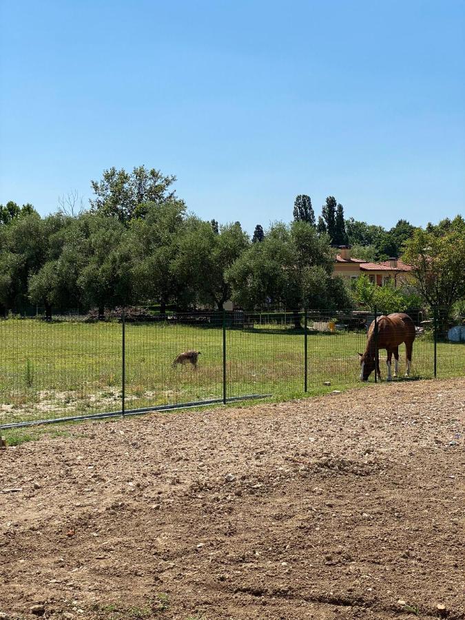 I Broletti Del Garda Otel Pacengo Di Lazise Dış mekan fotoğraf